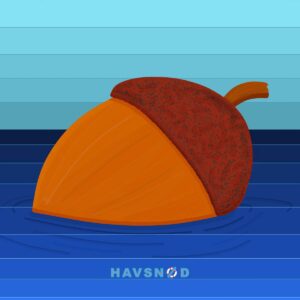Havsnød